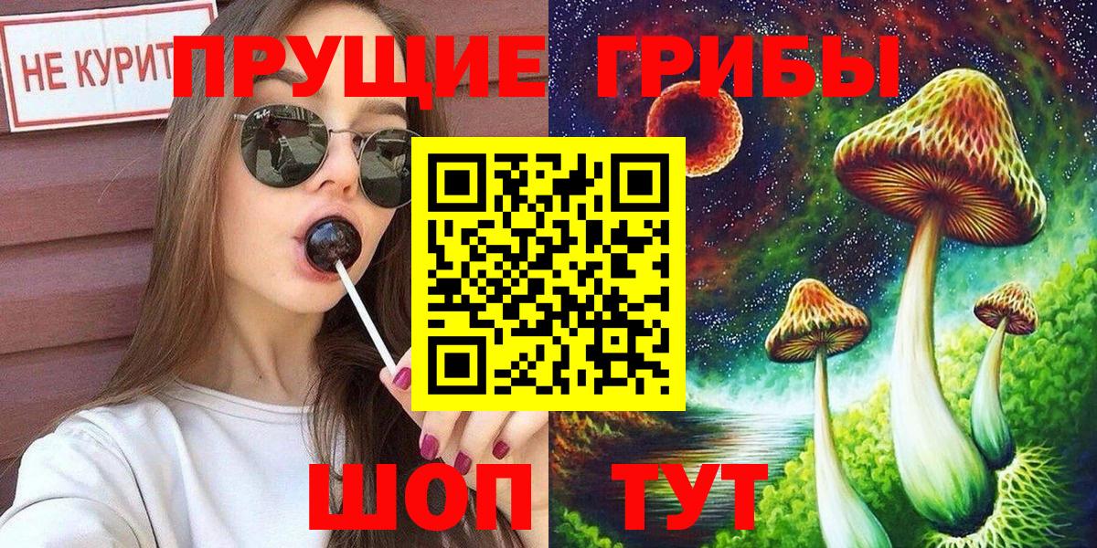 Псилоцибиновые грибы Psilocybe Урай