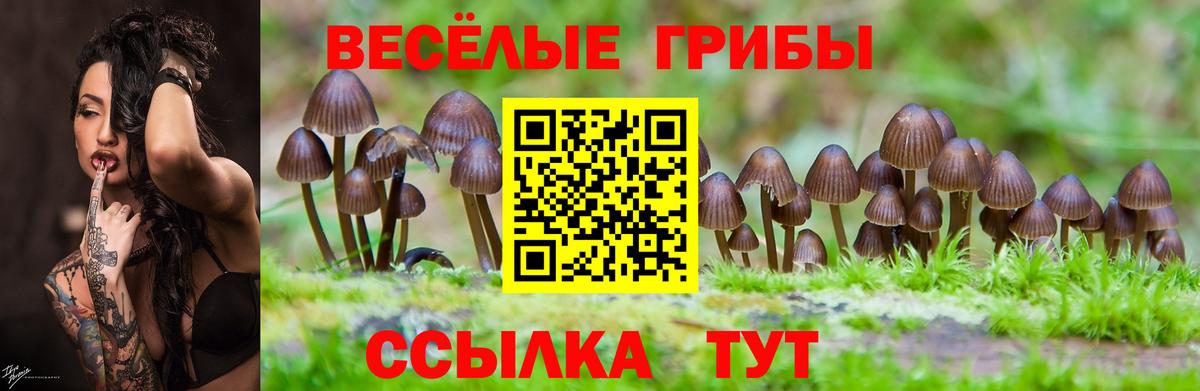 Галлюциногенные грибы мицелий  Вход с VPN  Урай 
